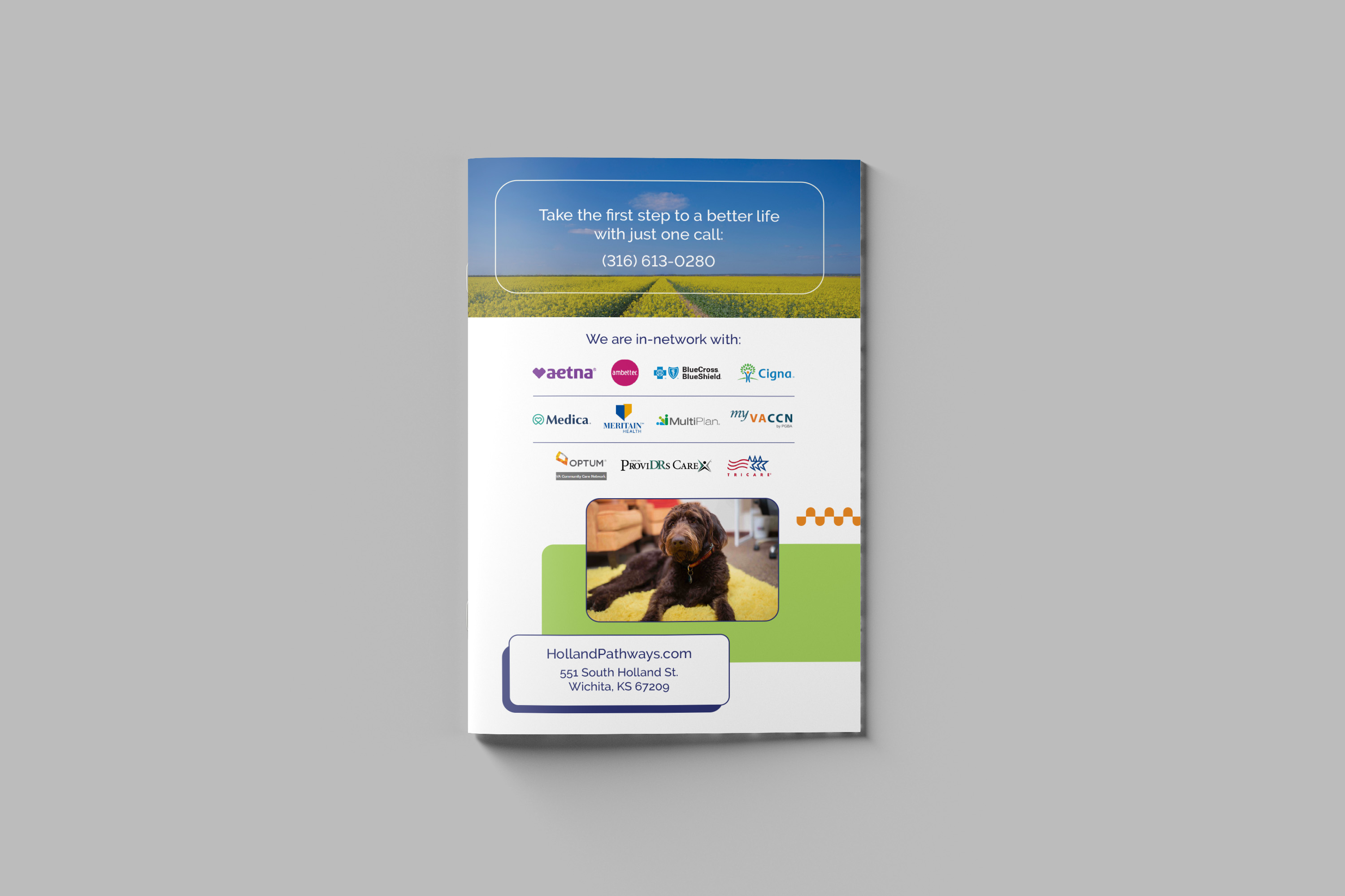 behavioral health marketing-4