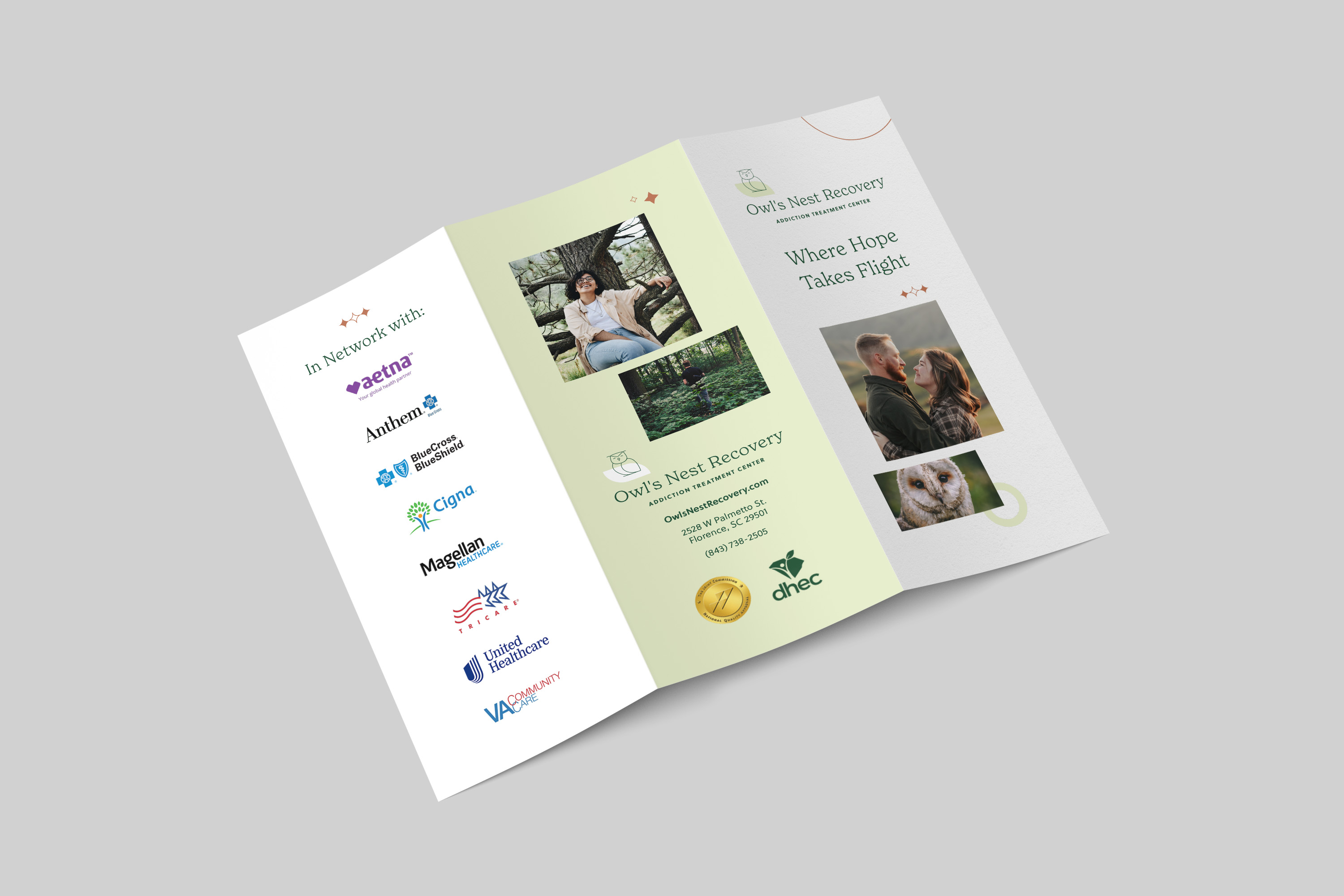 owls nest recovery rehab brochure design