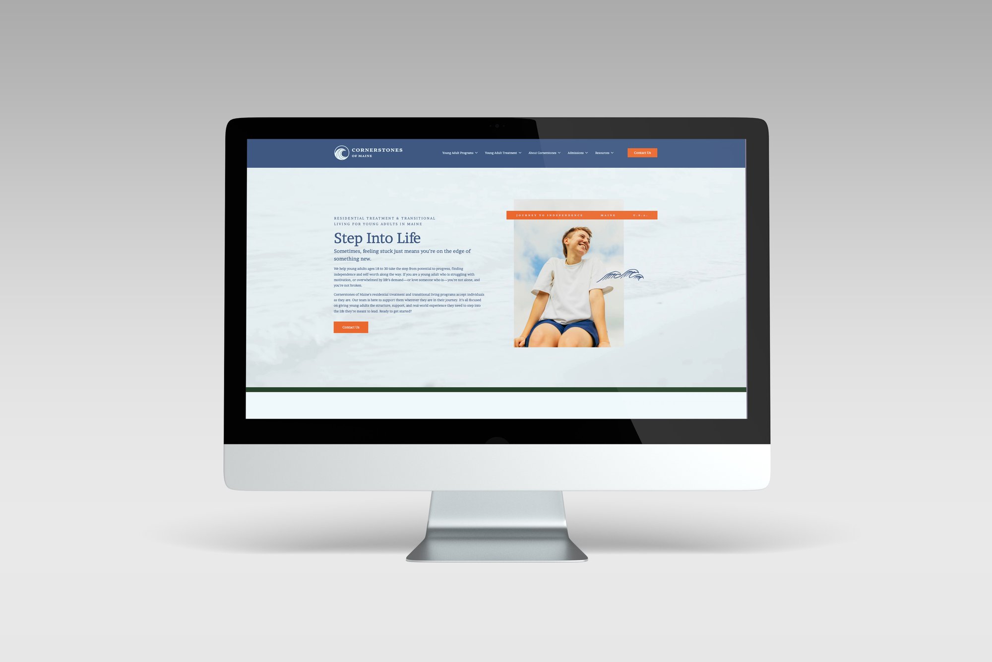 website-3